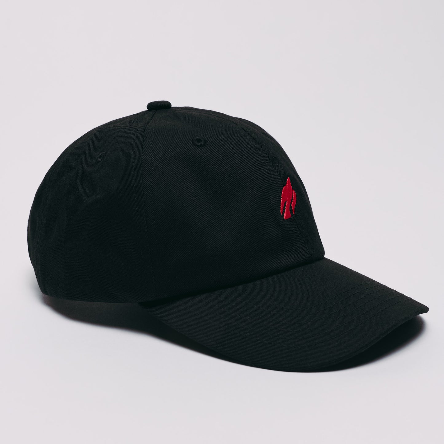 Dove Dad Cap